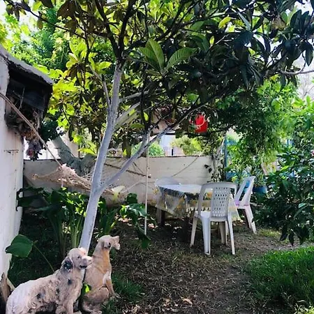 شقة Oezalp Evleri ,datca Merkezde,deniz Manzarali *